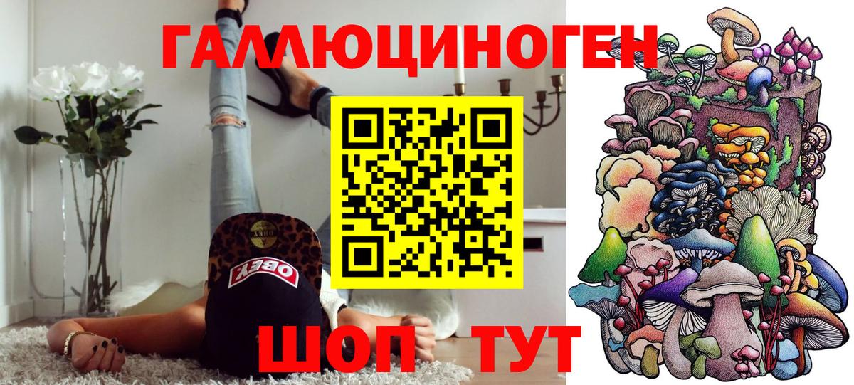 Псилоцибиновые грибы прущие грибы  Вход с VPN  Ногинск  Псилоцибиновые грибы Psilocybine cubensis 