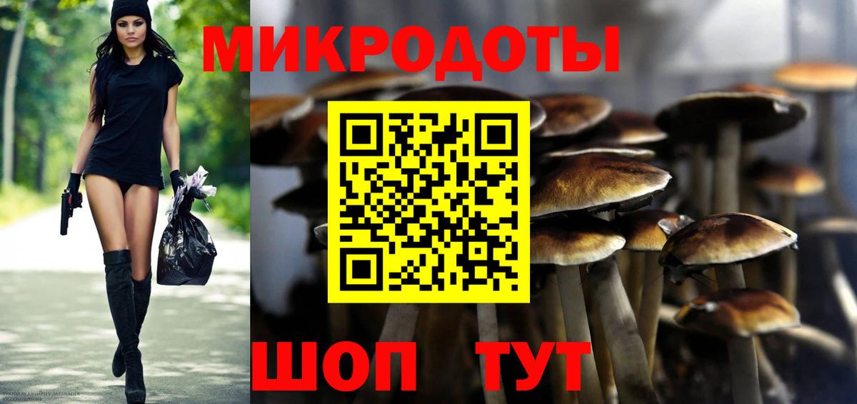 Галлюциногенные грибы Psilocybe Ногинск